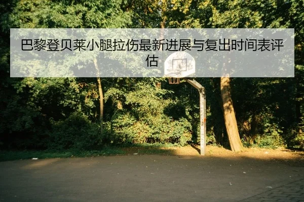 ba-li-deng-bei-lai-xiao-tui-la-shang-zui-xin-jin-zhan-yu-fu-chu-shi-jian-biao-ping-gu-2-565.jpg